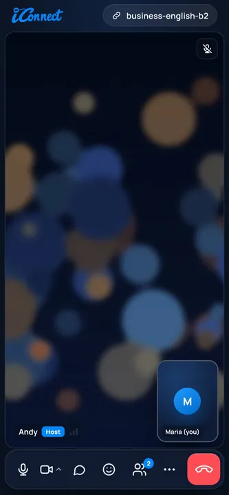iConnect on a phone